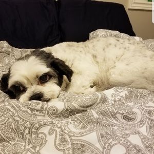 Meet your Posher, Jodi